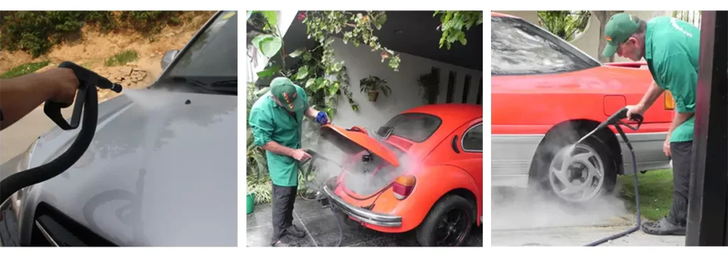 LPG Portable High Pressure Car Washer Cordless Steam Car Washing Machine for Car Wash Area